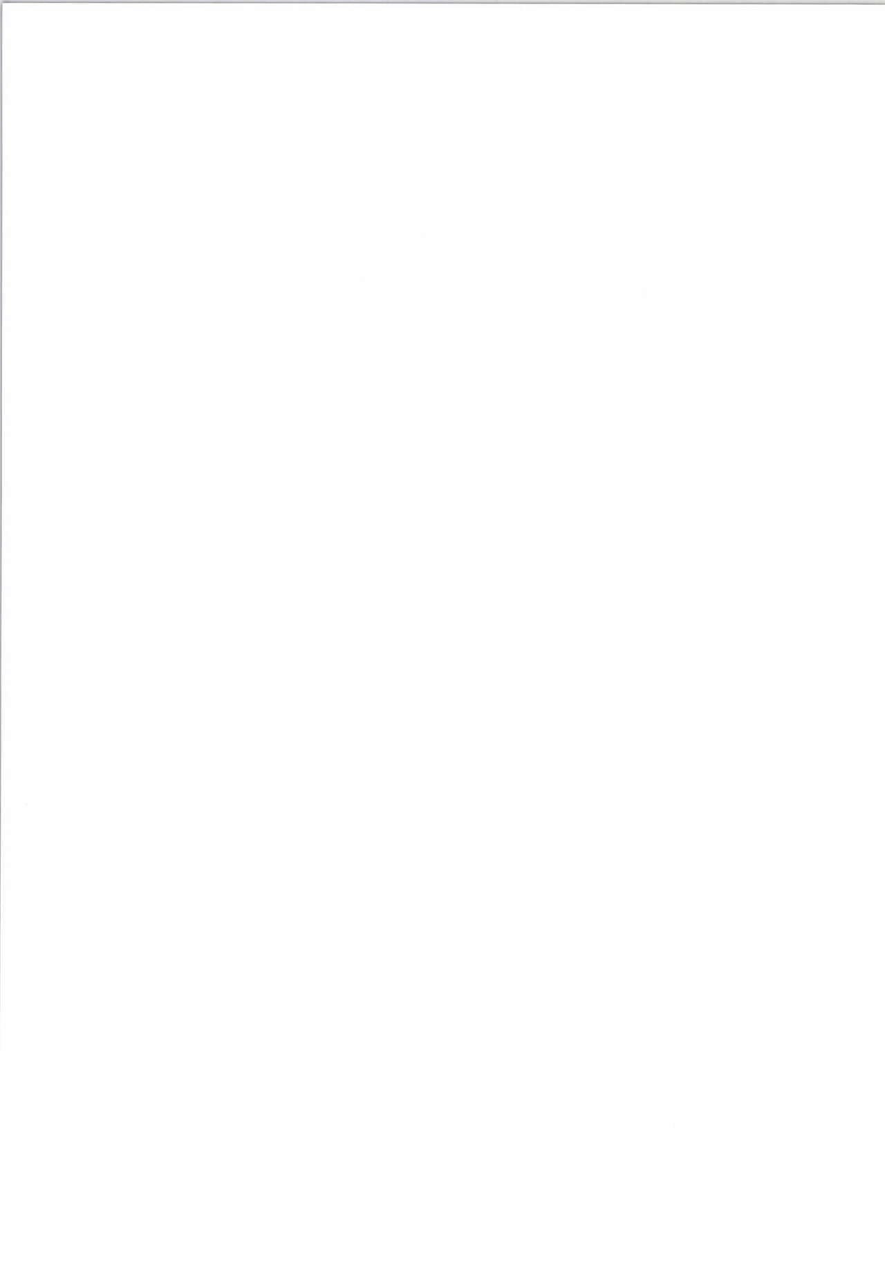 [Aroma Gaeru (Numahana)] Mousou Yuugi 3 (Touhou Project) [Digital] 이미지 번호 19