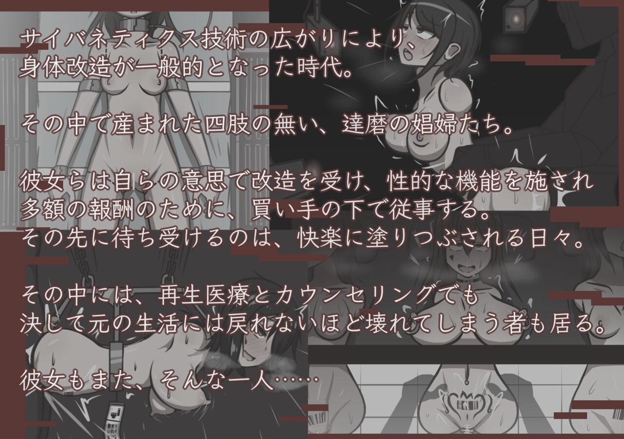 [Akiha Kase no Kenkyuujo] Vocational Daruma: Broken Meat Hole Archive 2eme image