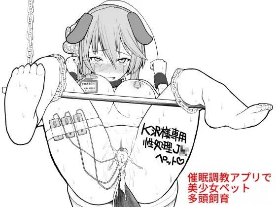 [EsuEsu] Saimin Choukyou Appli de Bishoujo Pet Tatou Shiiku [Chinese] image number 1