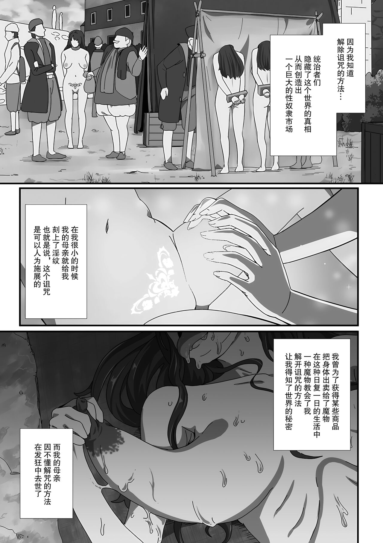 [YOSHITORA] Inmon Tsuki no Gyoushounin Spica (Isekai Musume to no Kousetsu Vol.4) [Chinese] [momo个人汉化] image number 4