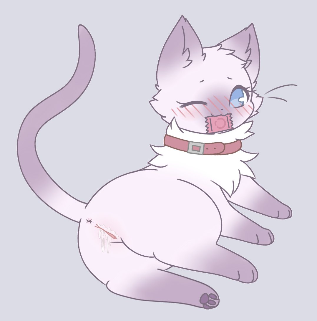 felis_liliac gallery Bildnummer 11