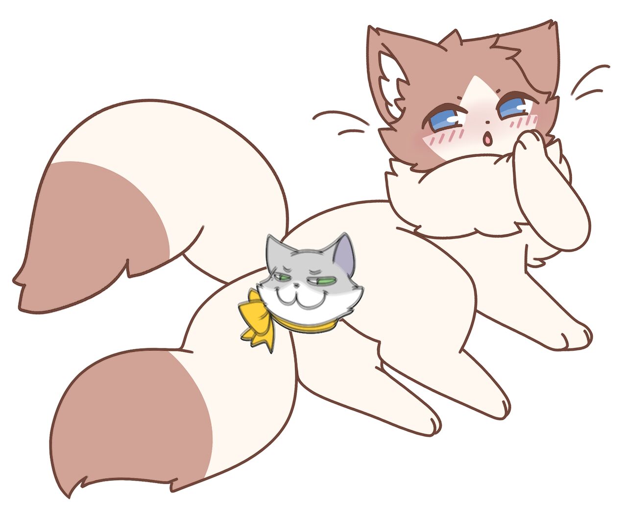 felis_liliac gallery Bildnummer 14