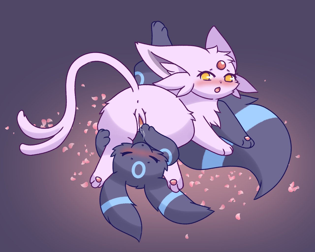 felis_liliac gallery Bildnummer 20