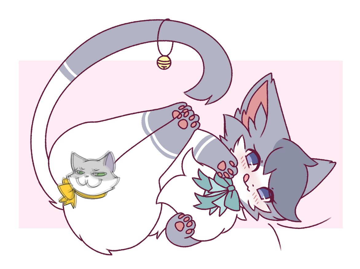 felis_liliac gallery Bildnummer 25