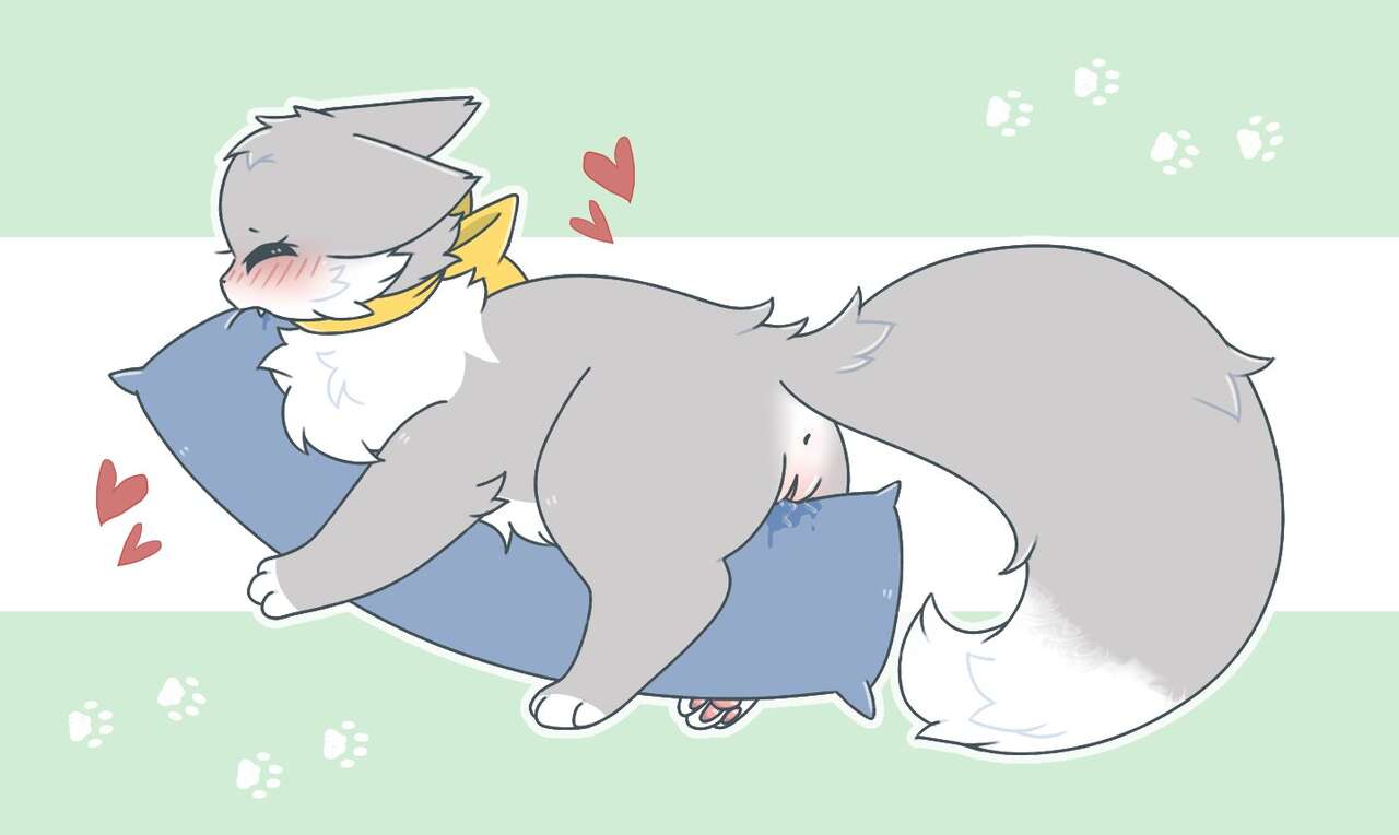 felis_liliac gallery Bildnummer 34