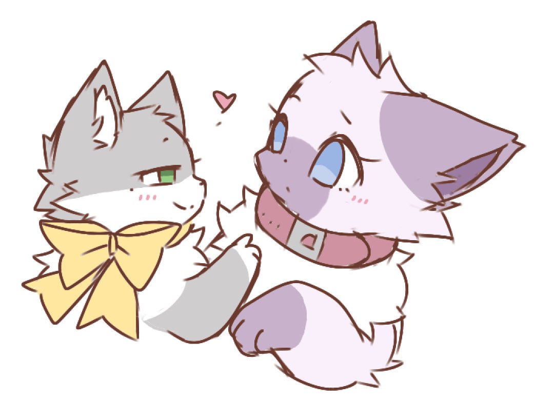 felis_liliac gallery Bildnummer 41