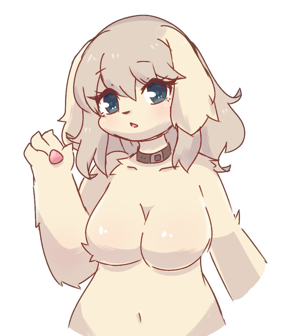 felis_liliac gallery Bildnummer 52