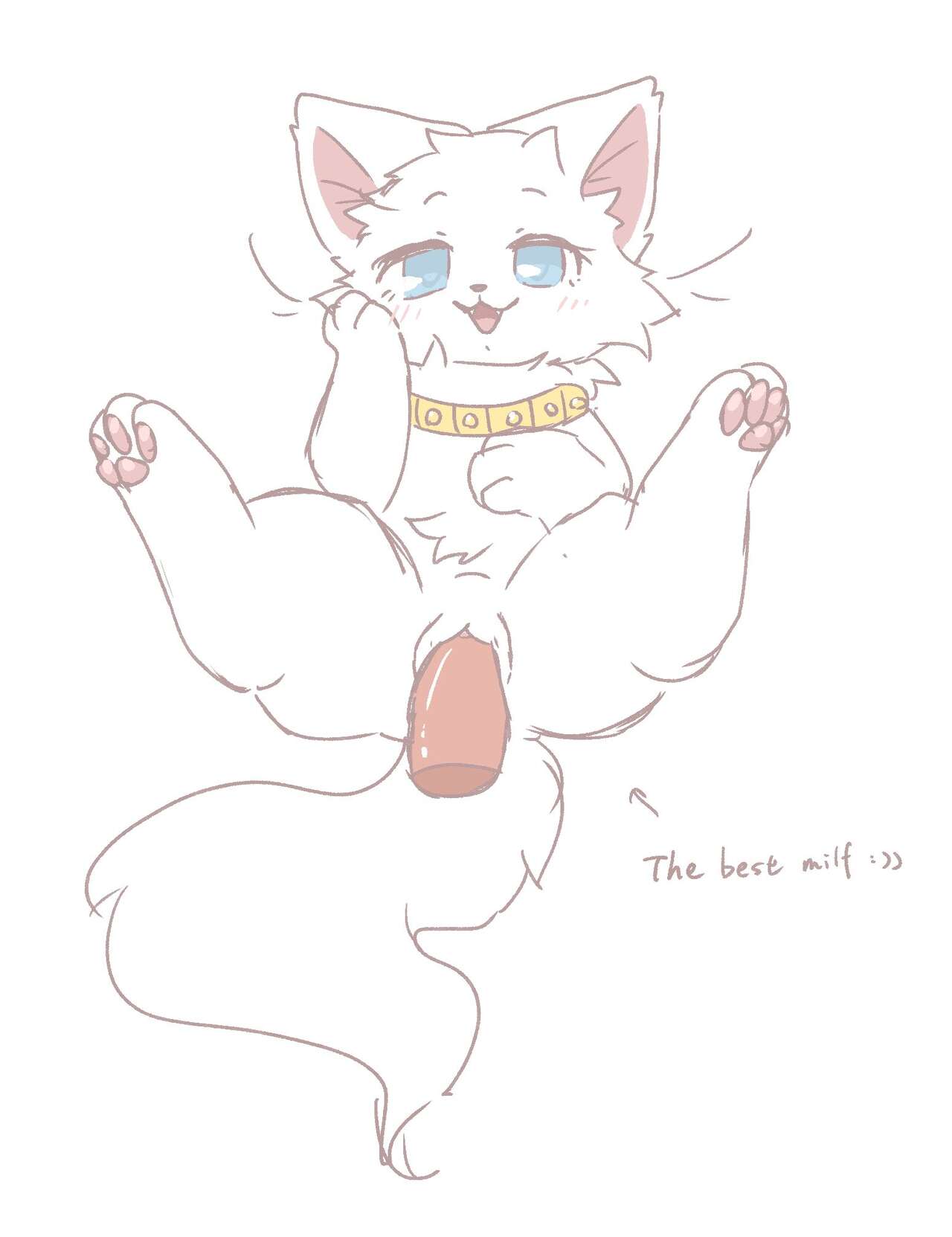 felis_liliac gallery Bildnummer 60