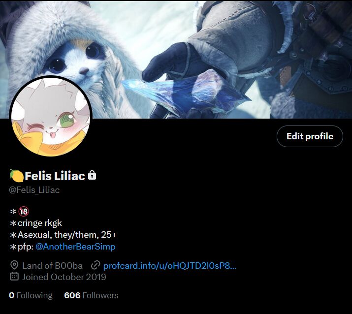 felis_liliac gallery Bildnummer 61