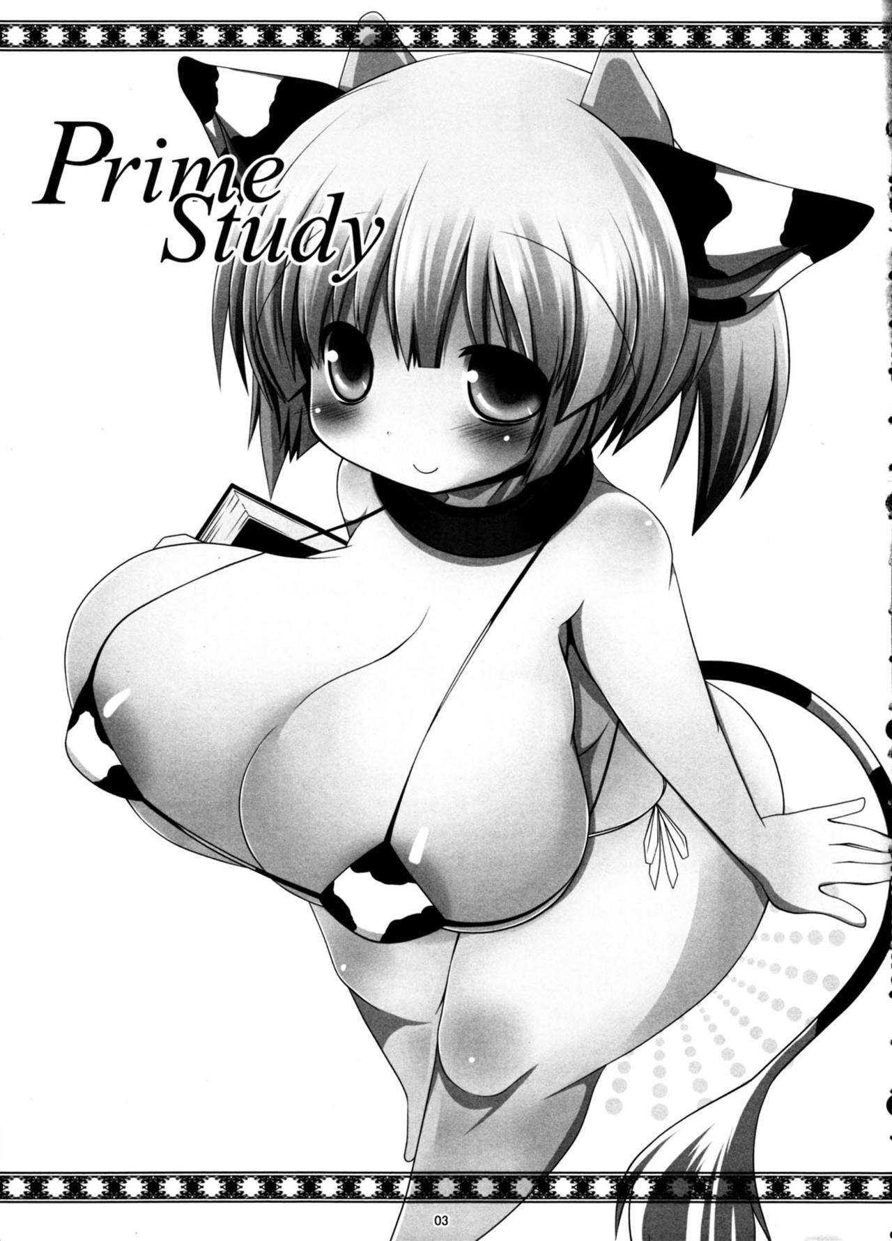 (C81) [mim'im (Mimisuke)] Prime Study [English] [cotrans.touhou.ai] изображение № 3