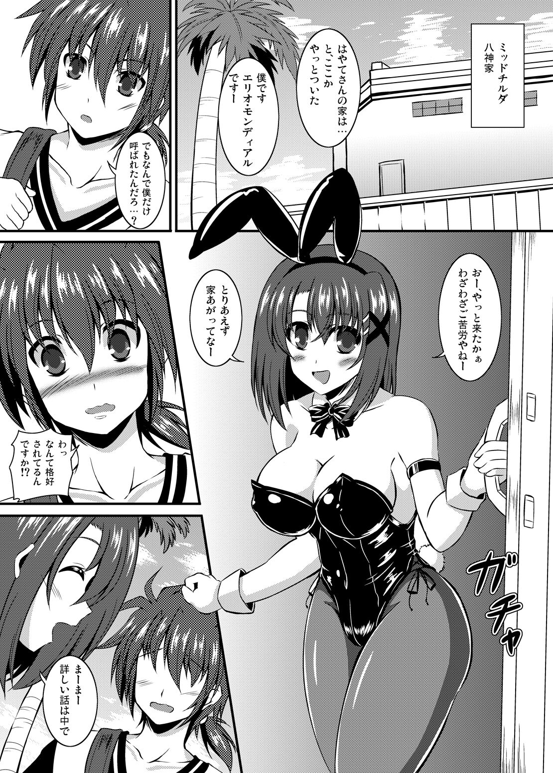 (C88) [Utanone Dou (Utanone Sion)] SigHaya Bunny (Mahou Shoujo Lyrical Nanoha) 图片编号 2
