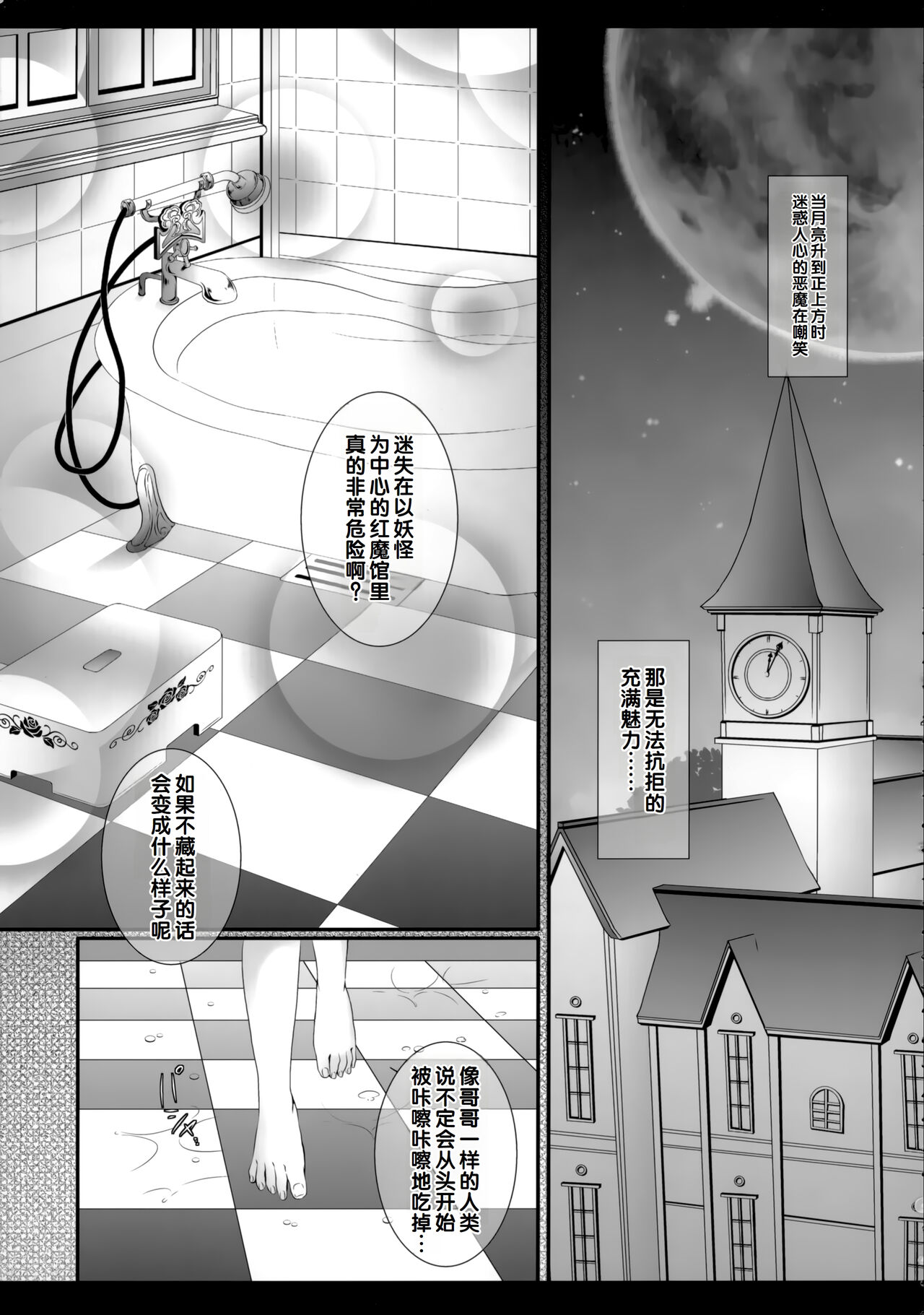 (C85) [Setoran (Itou Seto, Tanno Ran)] silhouette silhouette (Touhou Project) [CHINESE] [甜族星人赞助汉化] 4eme image