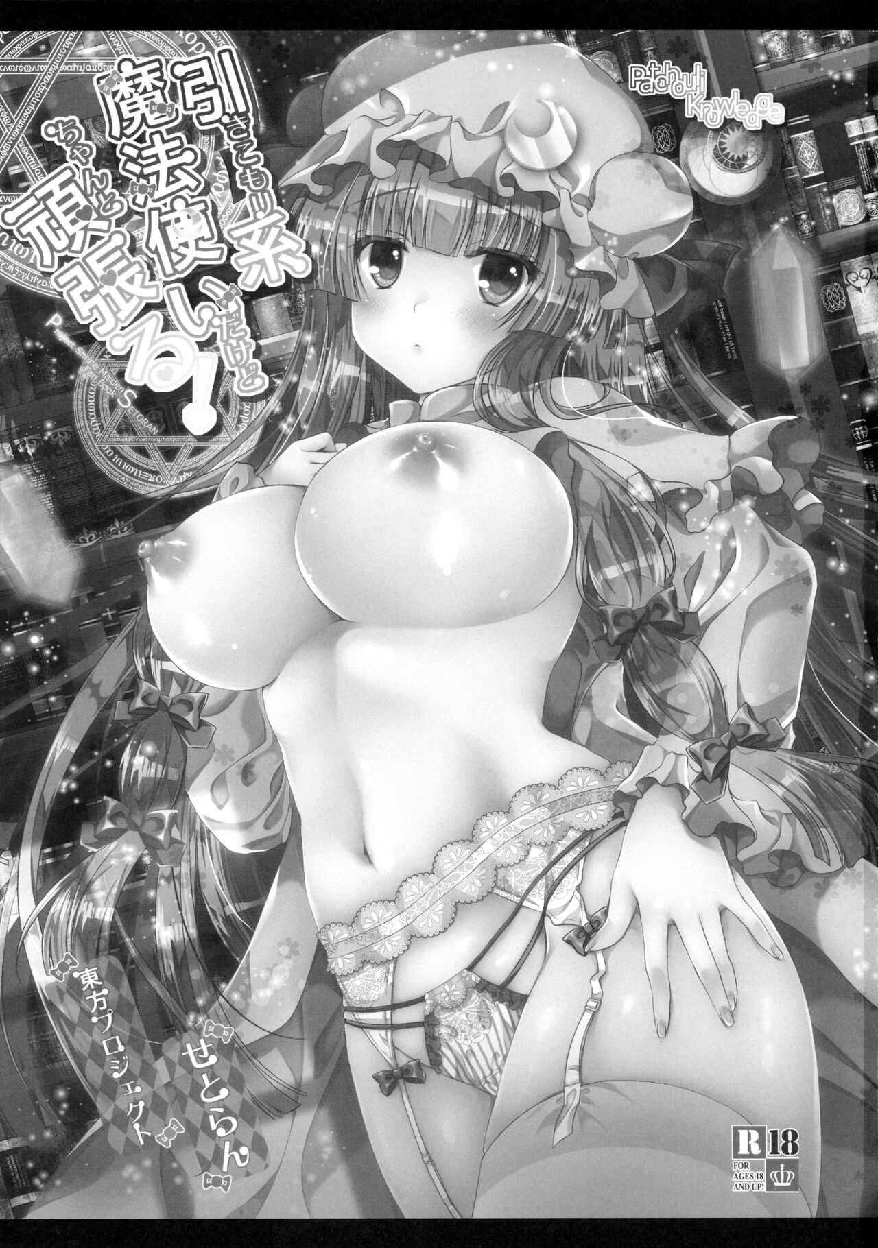 (Reitaisai 13) [Setoran (Itou Seto, Tanno Ran)] Hikikomorikei Mahoutsukai dakedo Chanto Ganbaru! (Touhou Project) [Chinese] [甜族星人x我不看本子个人汉化] [Digital] numero di immagine  3