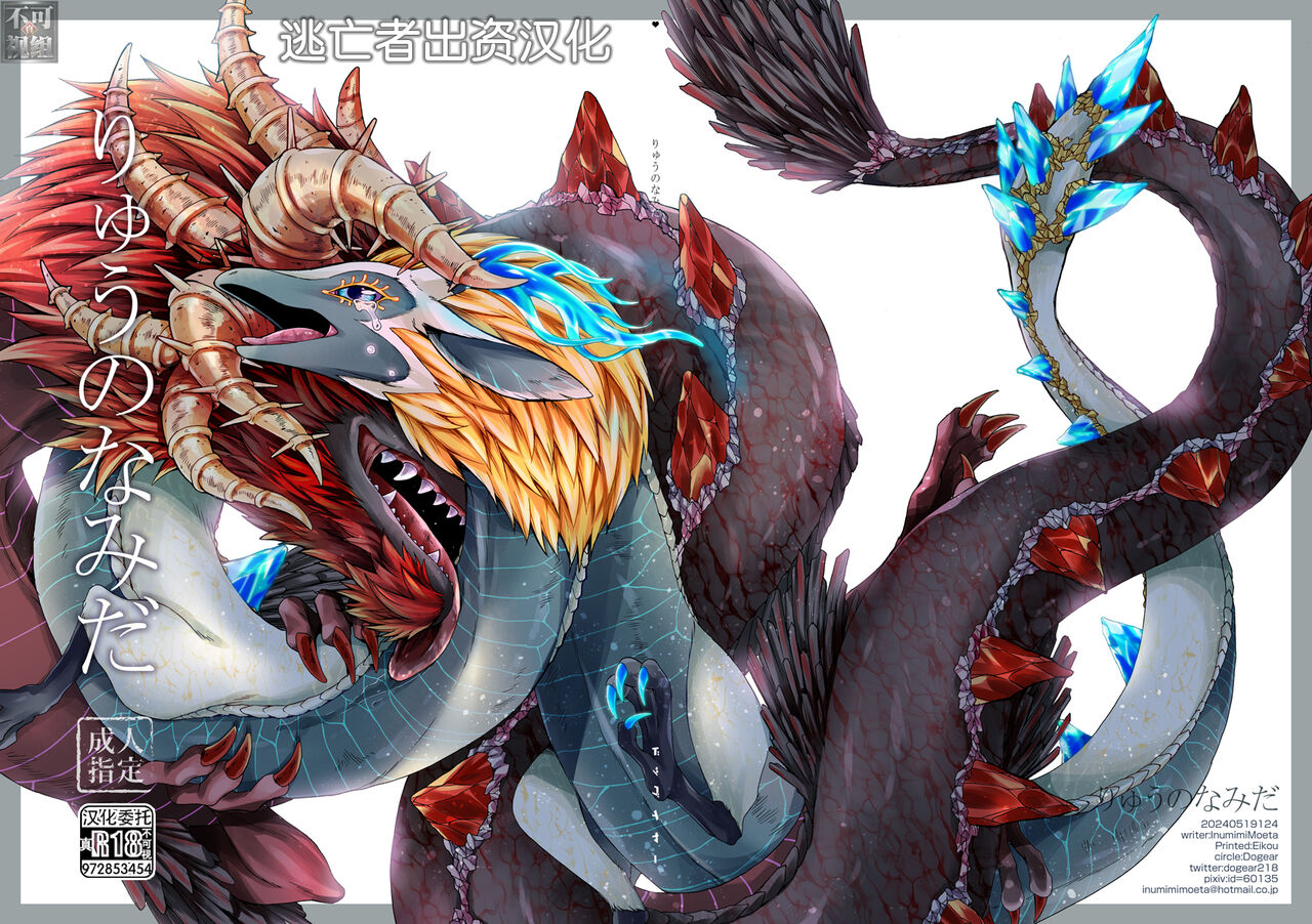 [Dogear (犬耳もえ太)] りゅうのなみだ (ゼルダの伝説) [Chinese] [逃亡者×真不可视汉化组] 이미지 번호 1