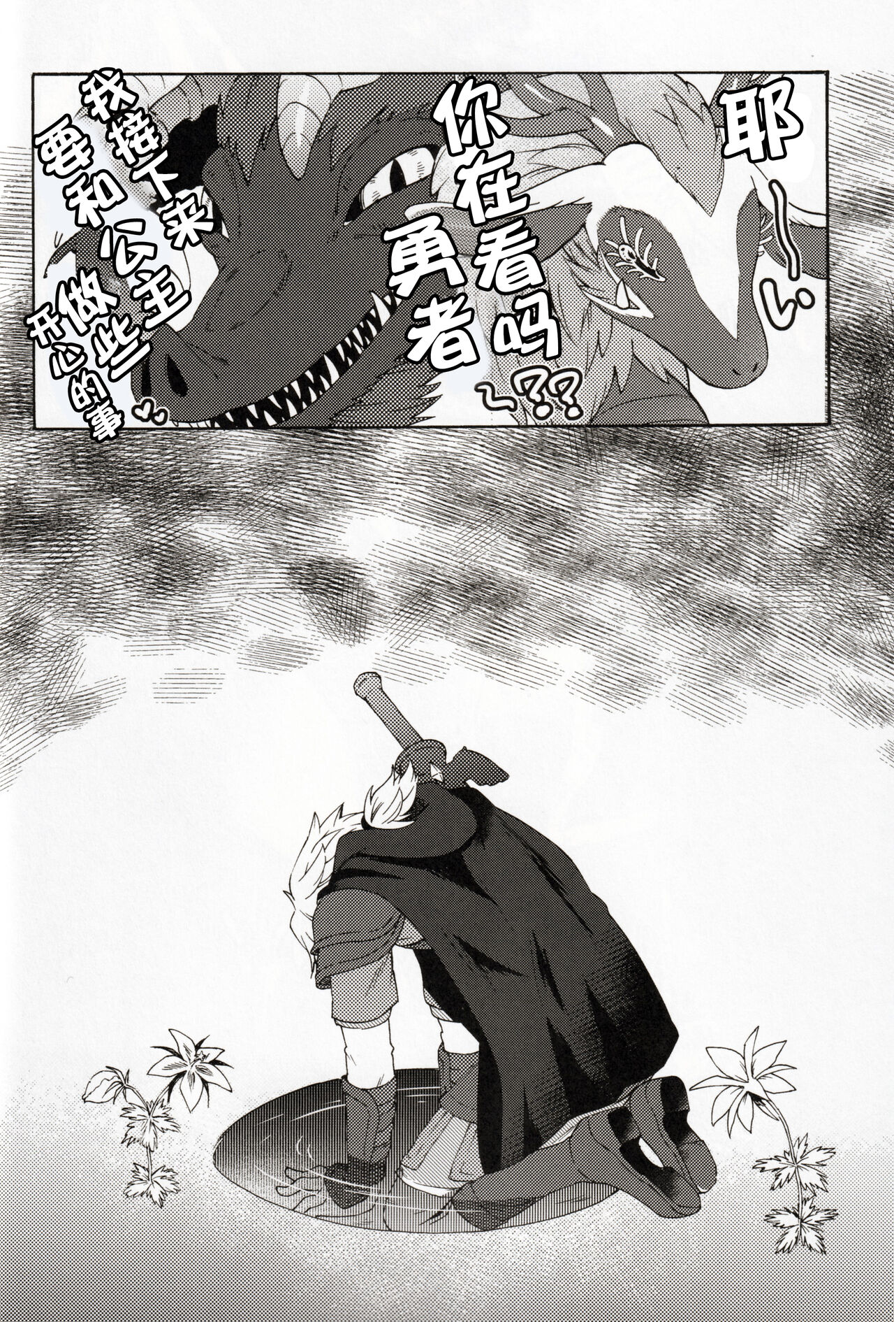 [Dogear (犬耳もえ太)] りゅうのなみだ (ゼルダの伝説) [Chinese] [逃亡者×真不可视汉化组] 이미지 번호 17