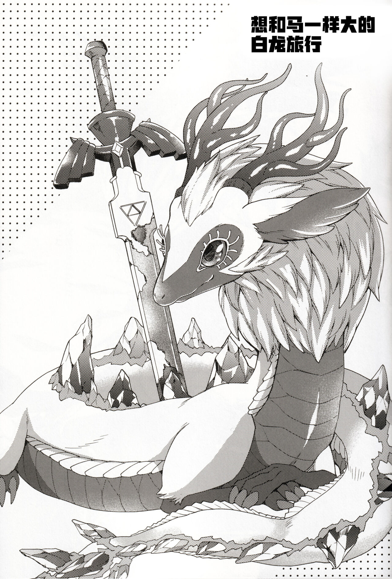 [Dogear (犬耳もえ太)] りゅうのなみだ (ゼルダの伝説) [Chinese] [逃亡者×真不可视汉化组] 이미지 번호 18