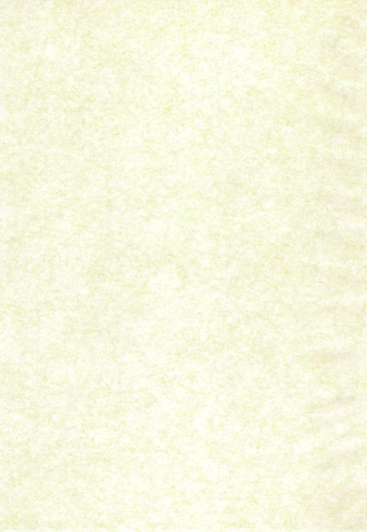 (C68) [Keiyou Tsudanuma Juku (Akifuji Satoshi)] Ishindenshin 이미지 번호 3