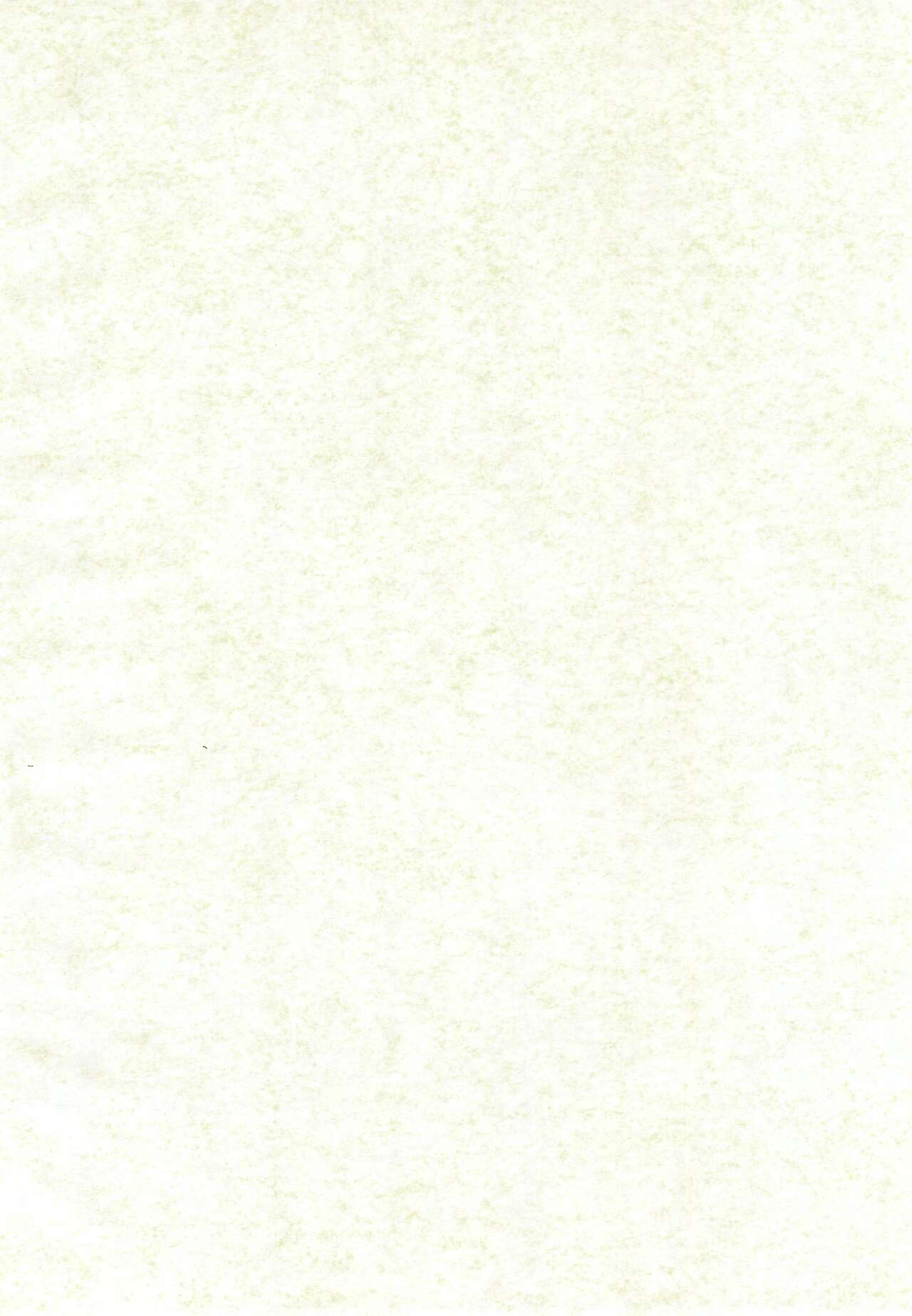 (C68) [Keiyou Tsudanuma Juku (Akifuji Satoshi)] Ishindenshin 이미지 번호 4