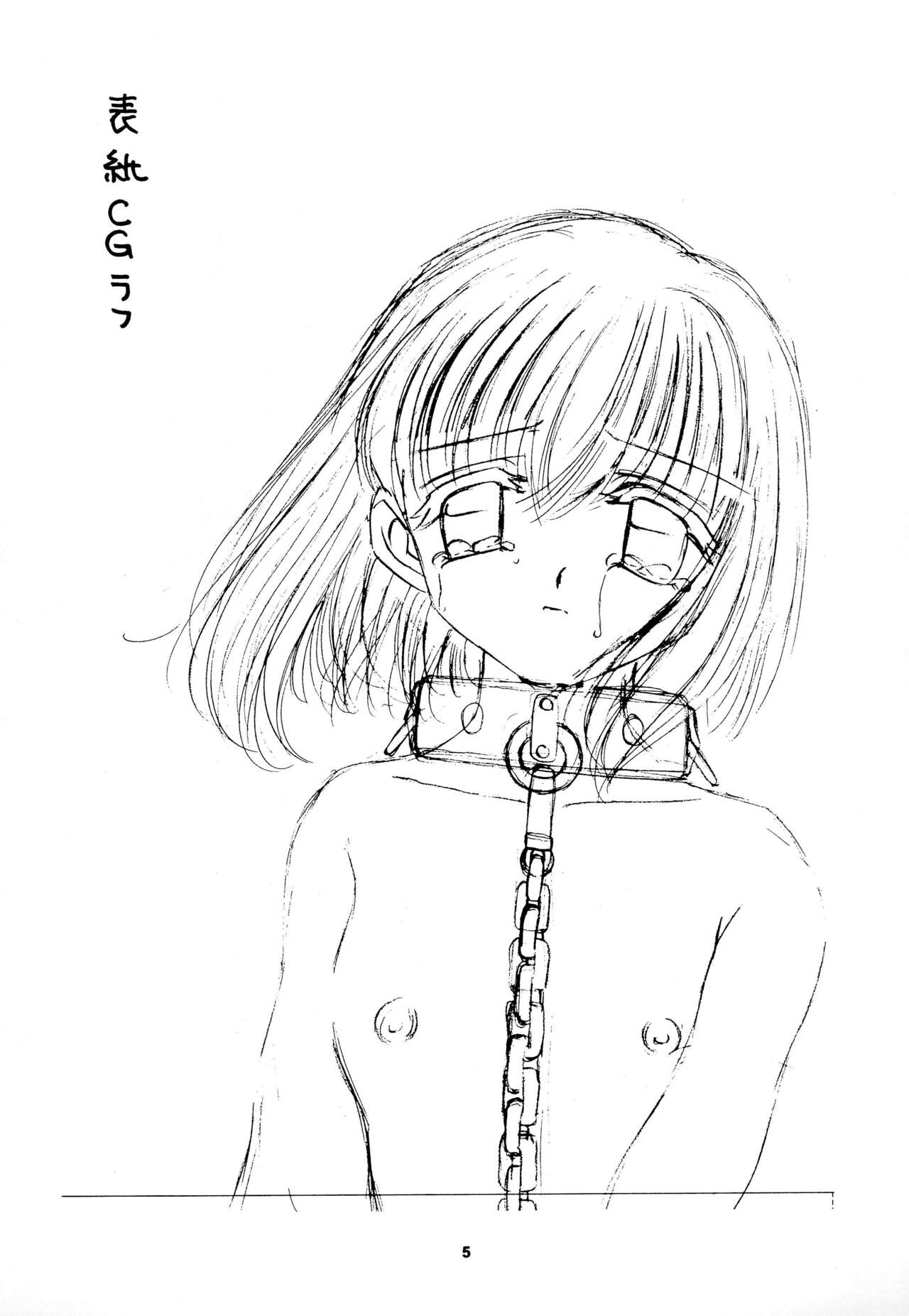 (C58) [Keiyou Tsudanuma Juku (Akifuji Satoshi)] Reijou Shigan 3 numero di immagine  7