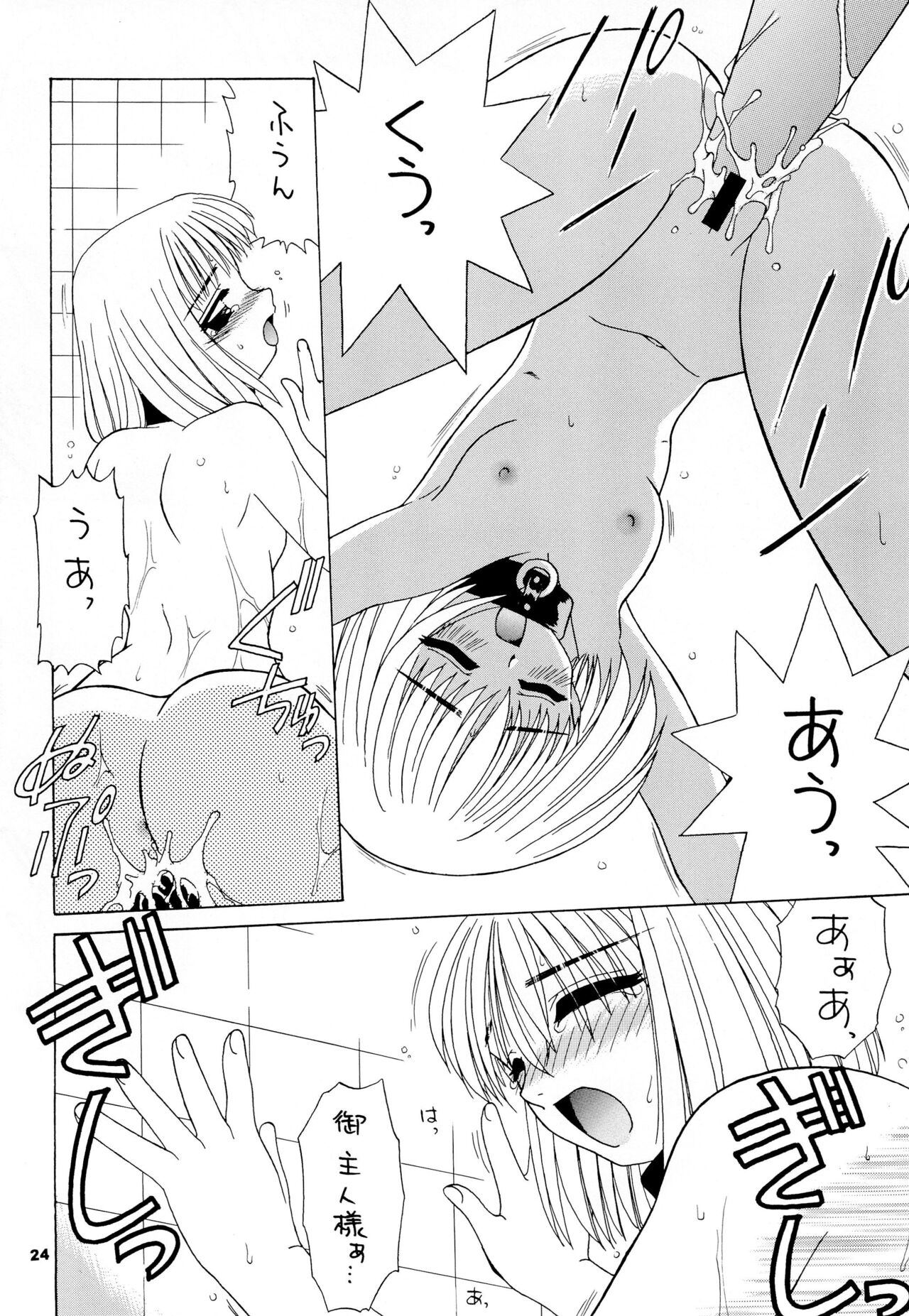 (C58) [Keiyou Tsudanuma Juku (Akifuji Satoshi)] Reijou Shigan 3 numero di immagine  26