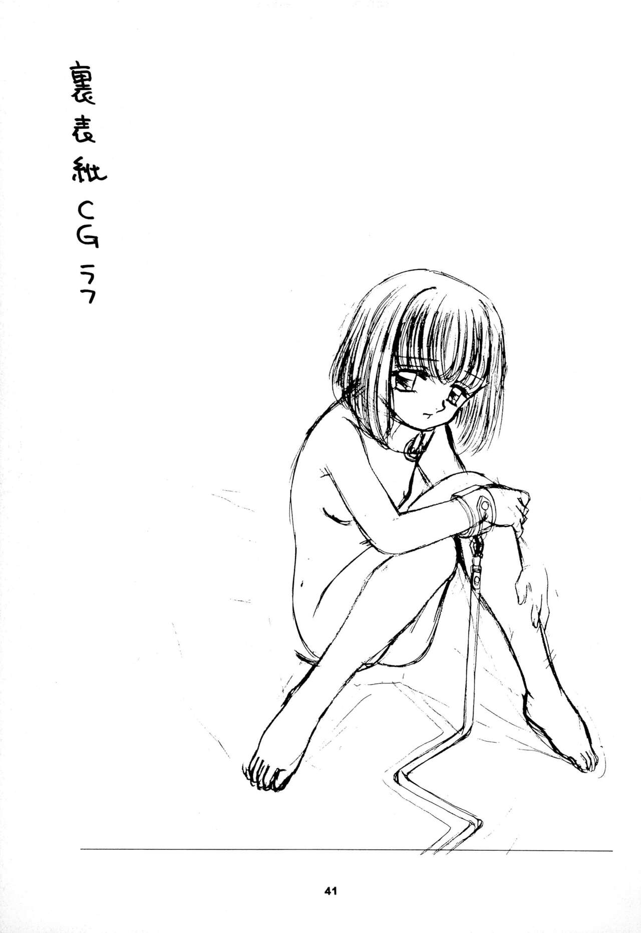 (C58) [Keiyou Tsudanuma Juku (Akifuji Satoshi)] Reijou Shigan 3 numero di immagine  43