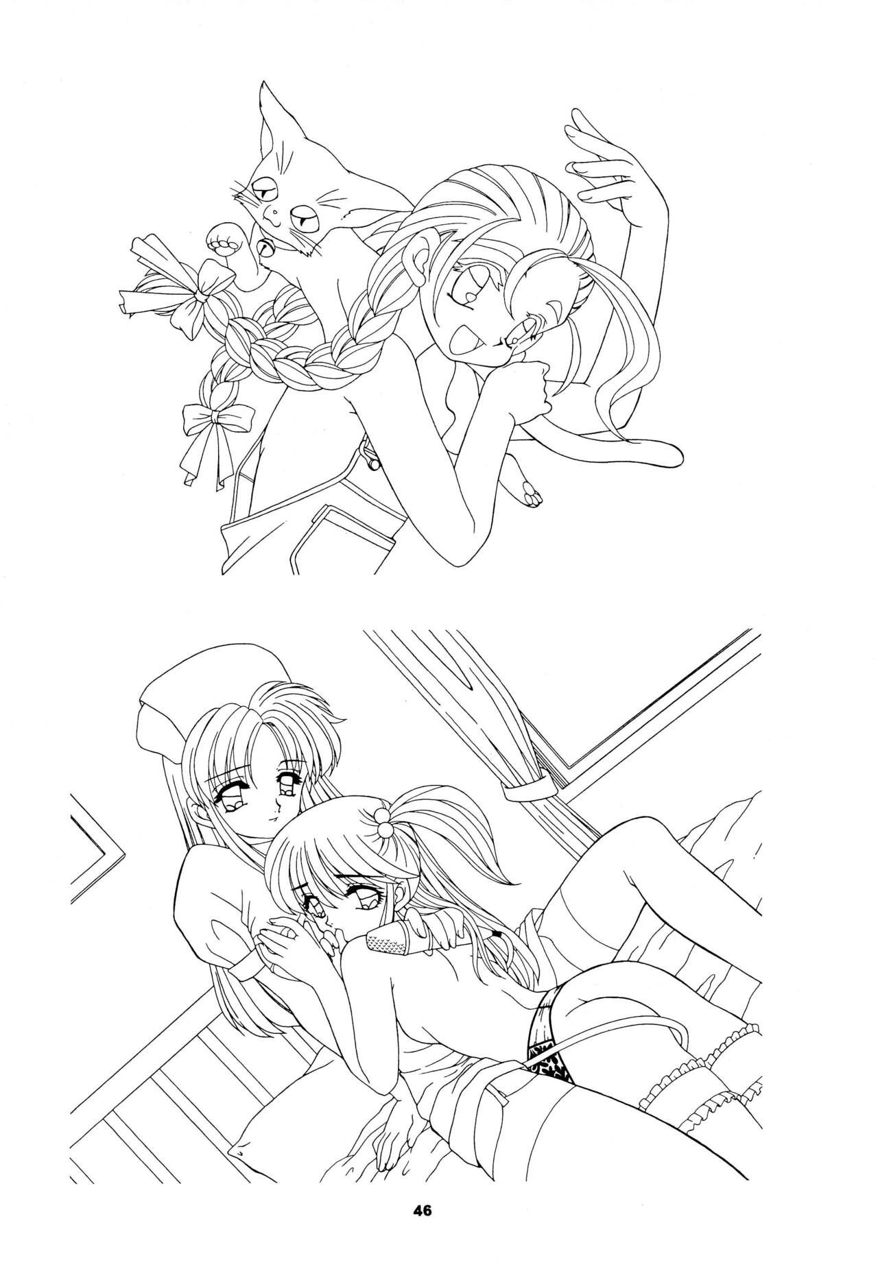 (C58) [Keiyou Tsudanuma Juku (Akifuji Satoshi)] Reijou Shigan 3 numero di immagine  48