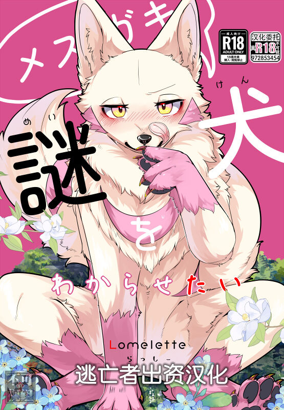 [Lomelette (らっしー)] メスガキ謎犬をわからせたい [Chinese] [逃亡者×真不可视汉化组] [Digital] 图片编号 1