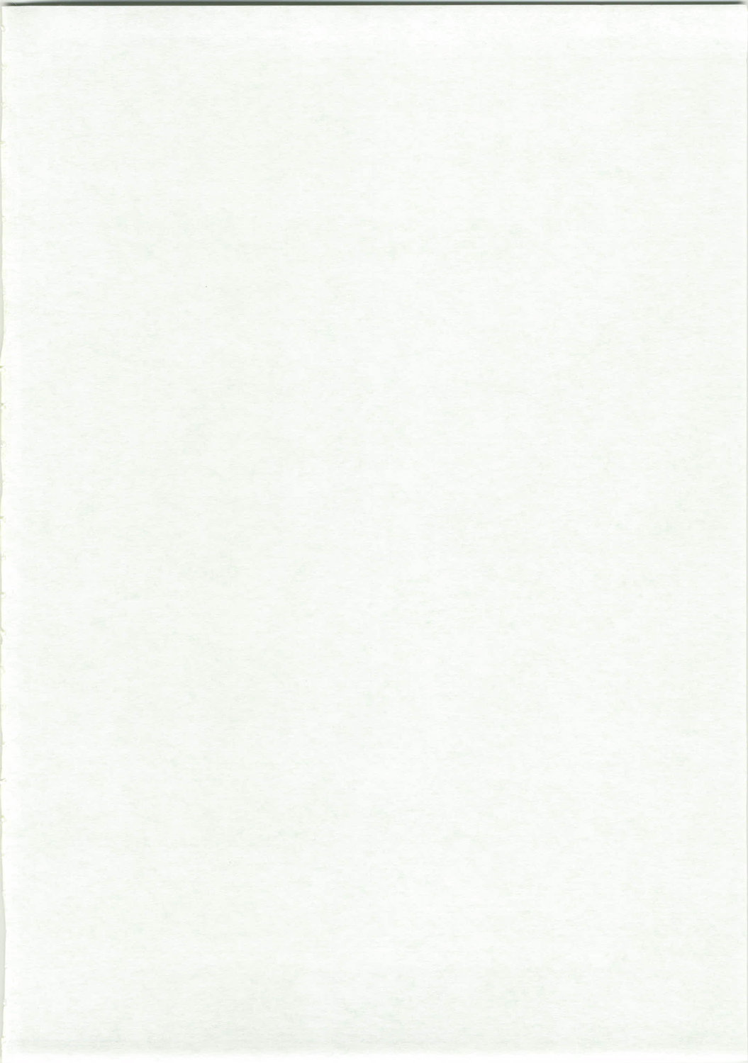 [Kabocha Heim] Become a slave (Zero no Tsukaima) numero di immagine  4