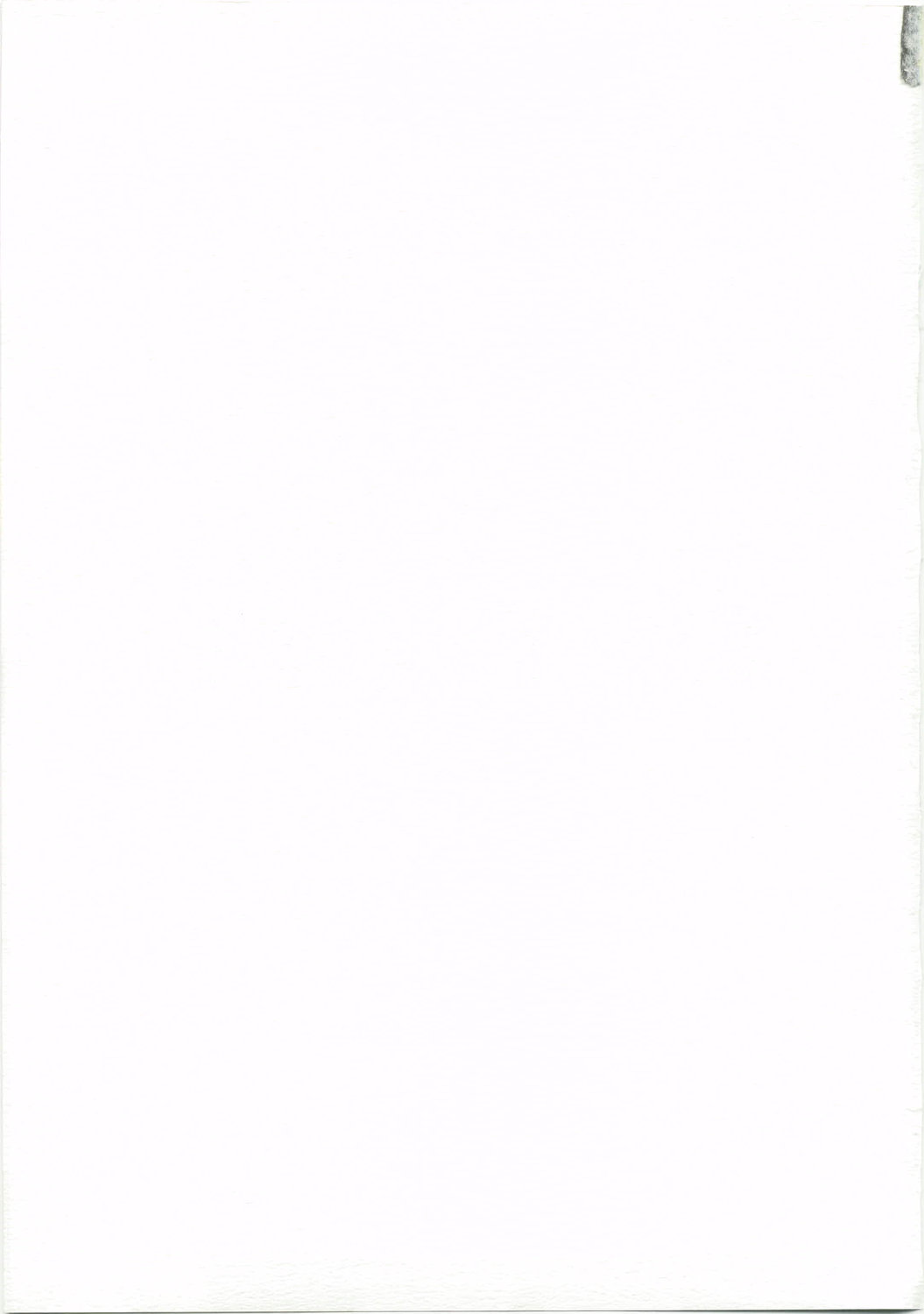 [Kabocha Heim] Become a slave (Zero no Tsukaima) numero di immagine  29