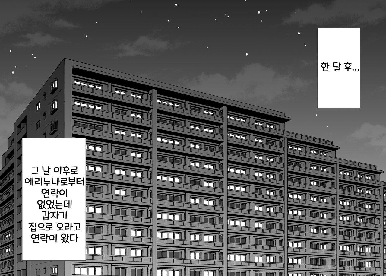 [Junsei Chuurenpoutou] 남편이 출장 중에 아이 만들기 불륜~아이가 갖고 싶다고 시끄럽게 구는 형수에게 질내사정 해버린 나 图片编号 95