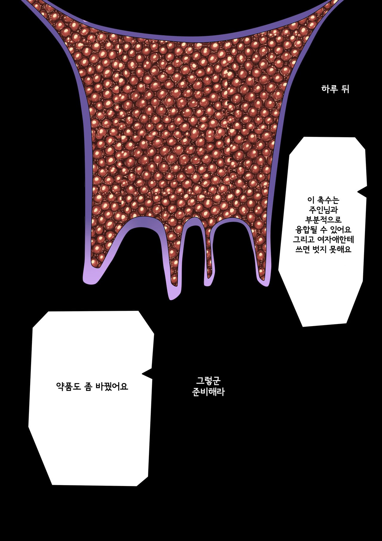 [JOKERKIN] Cursed Armor詛咒铠甲 [Korean] 이미지 번호 11