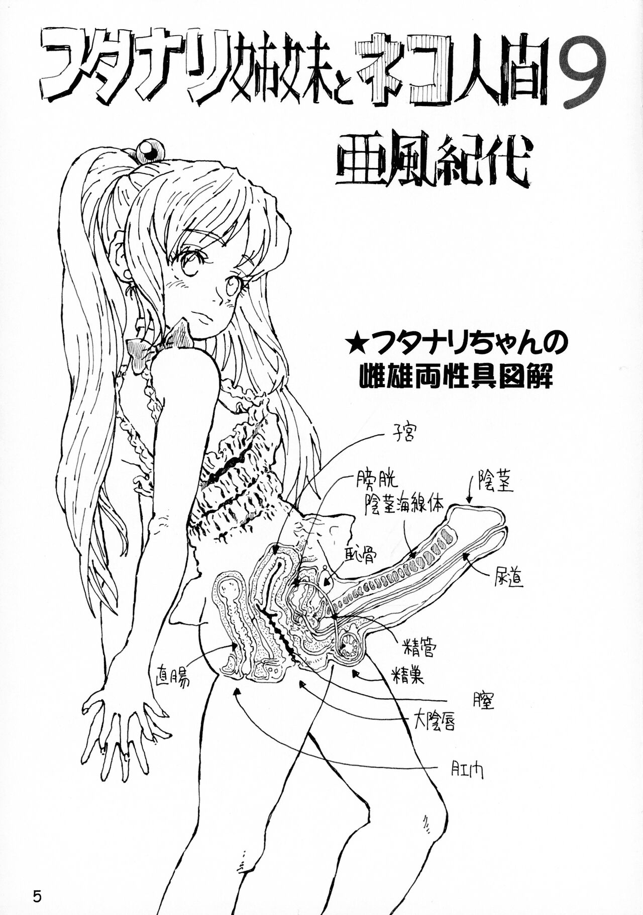 (COMITIA148) [Abyukyou Koubou (Akaze Kidai)] Futanari Shimai to Neko Ningen 9 画像番号 5