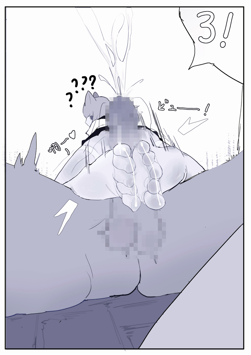 Elden Quin imagen número 9