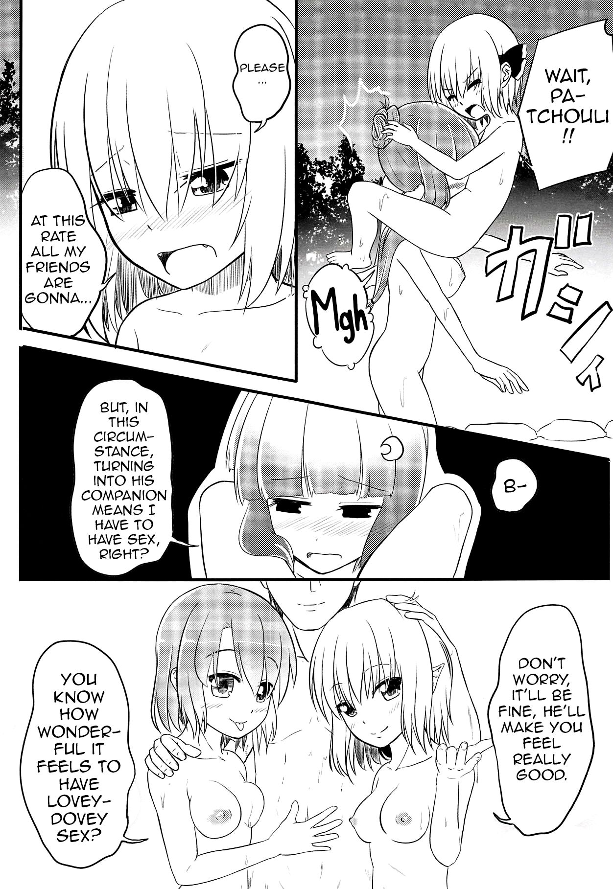 (Reitaisai 13) [Wasshoi Koubou (Hayami Sakura)] Youkai Shoujo no Aishikata 3 (Touhou Project) [English] (Shiririn) numero di immagine  12