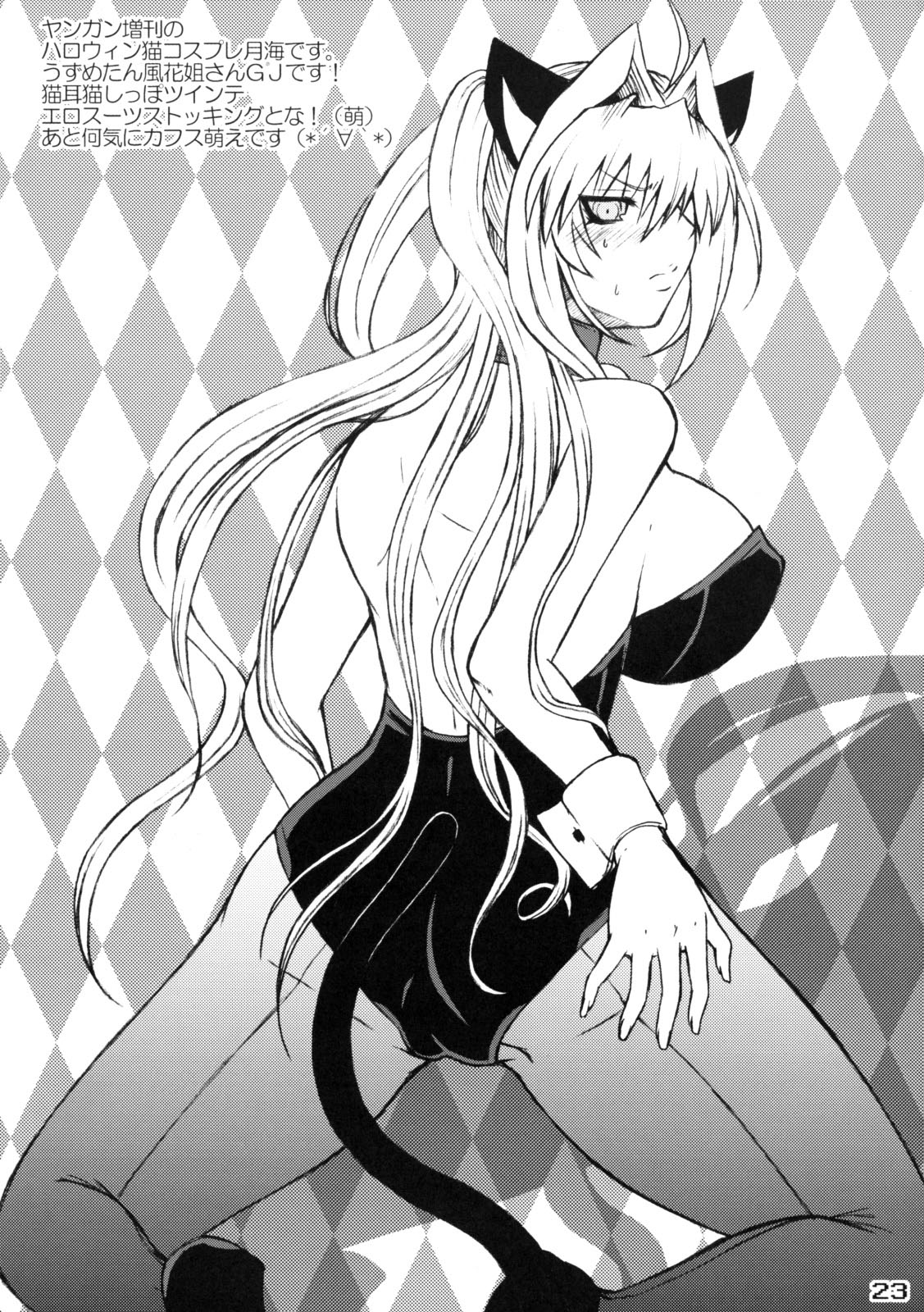 (C83) [Honey Bump (Nakatsugawa Minoru)] Mizu no Sekirei -Honey Bump Sekirei Tsukiumi Soushuuhen- (Sekirei) [English] 4eme image