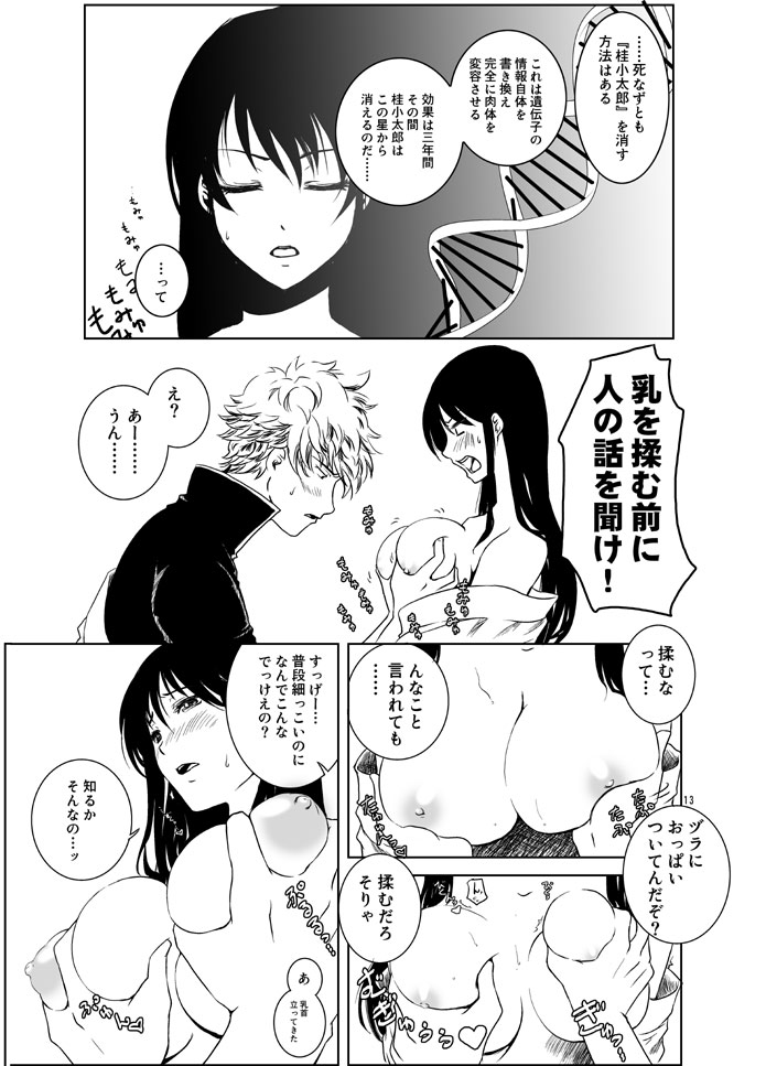 [Shosekido (Matsue)] Osananajimi o Harama Serutatta Hitotsu no Saeta Yarikata (Gintama) [Digital] 이미지 번호 11