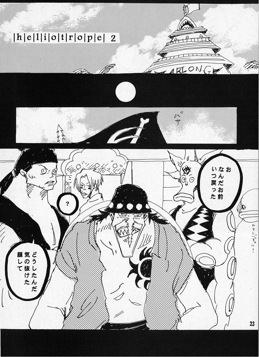 [Aozora Gundan (Hideyoshico)] Heliotrope (One Piece) 图片编号 24