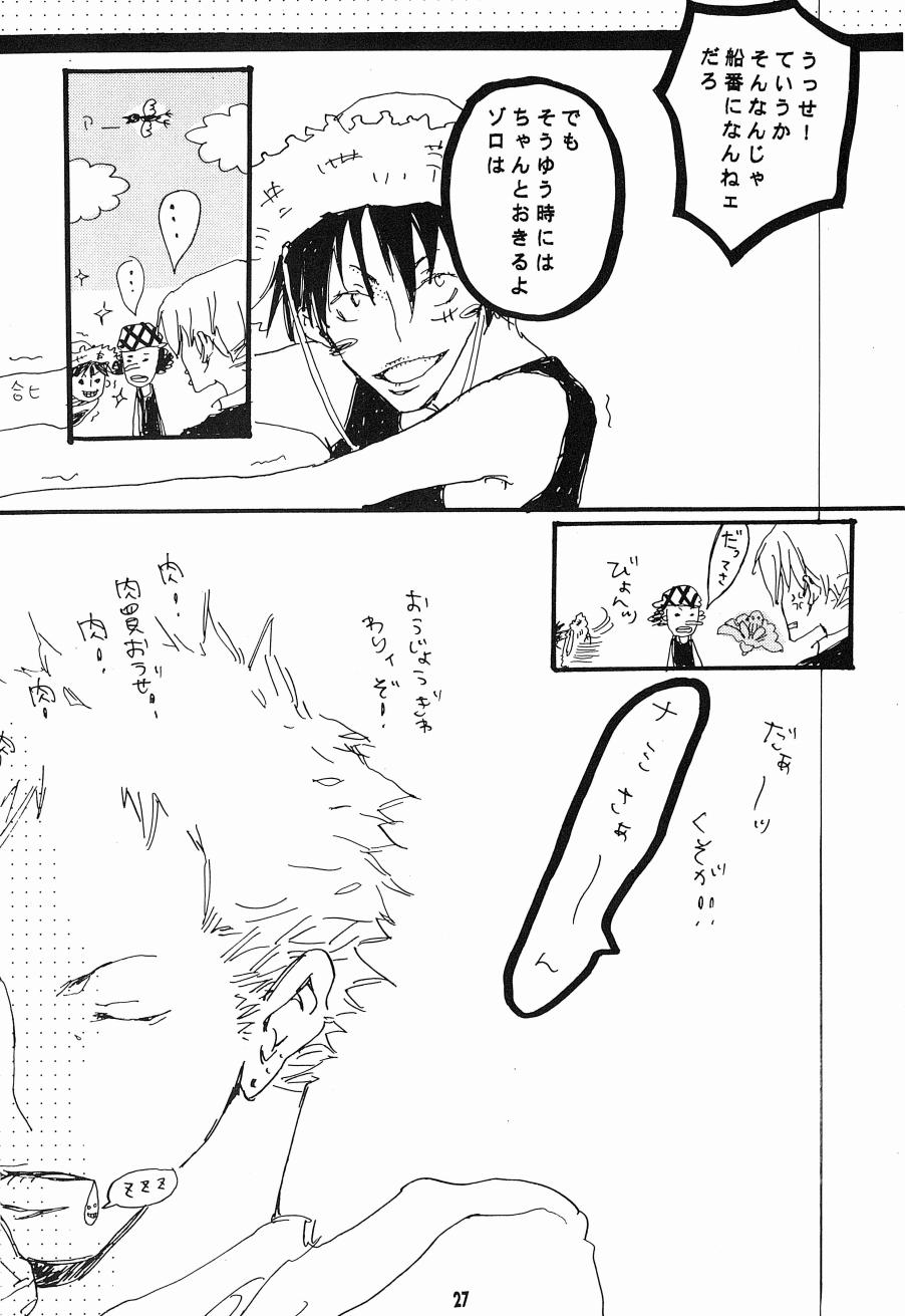 [Aozora Gundan (Hideyoshico)] Heliotrope (One Piece) 图片编号 28