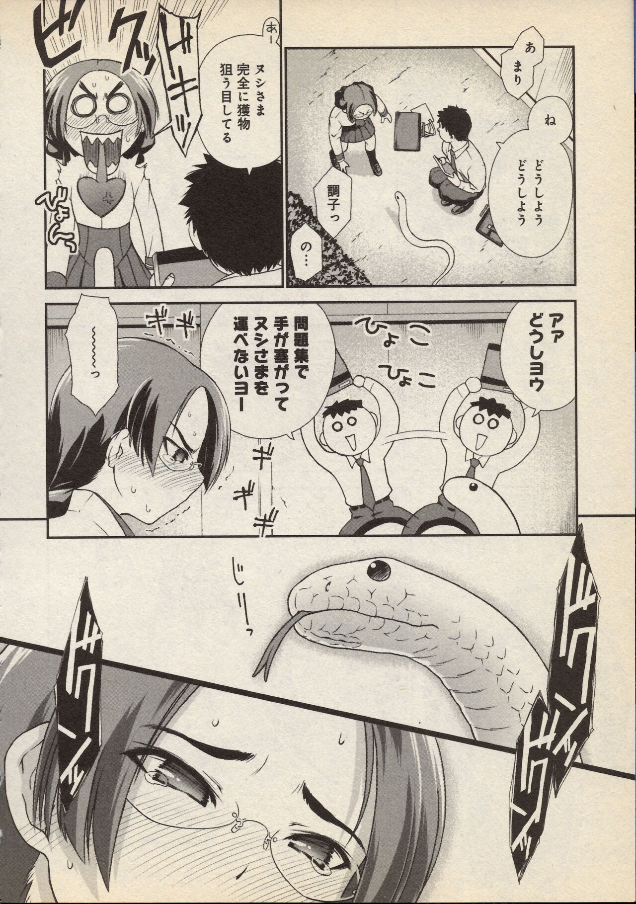 Snakes Alive image number 10