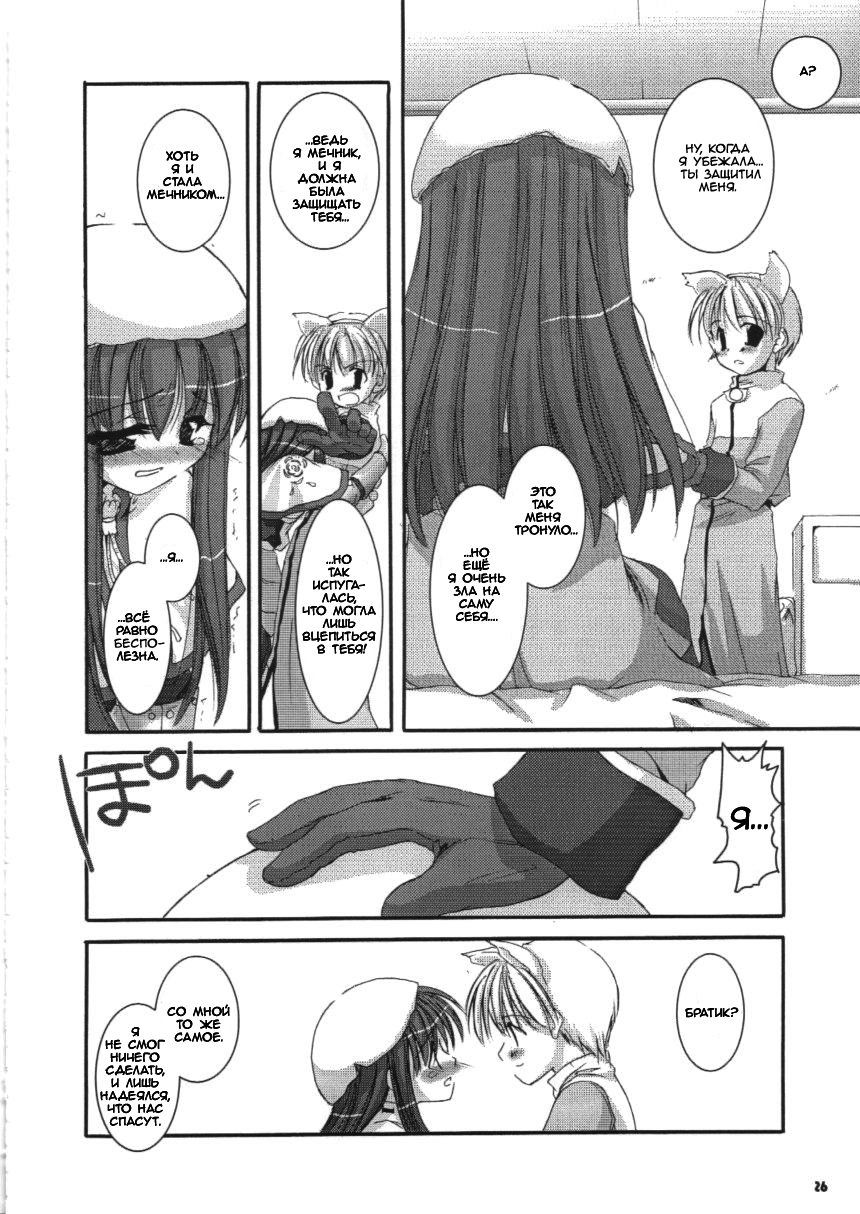 (C63) [Digital Lover (Nakajima Yuka)] D.L.action 16 (Ragnarok Online) [Russian] [dozer] image number 26