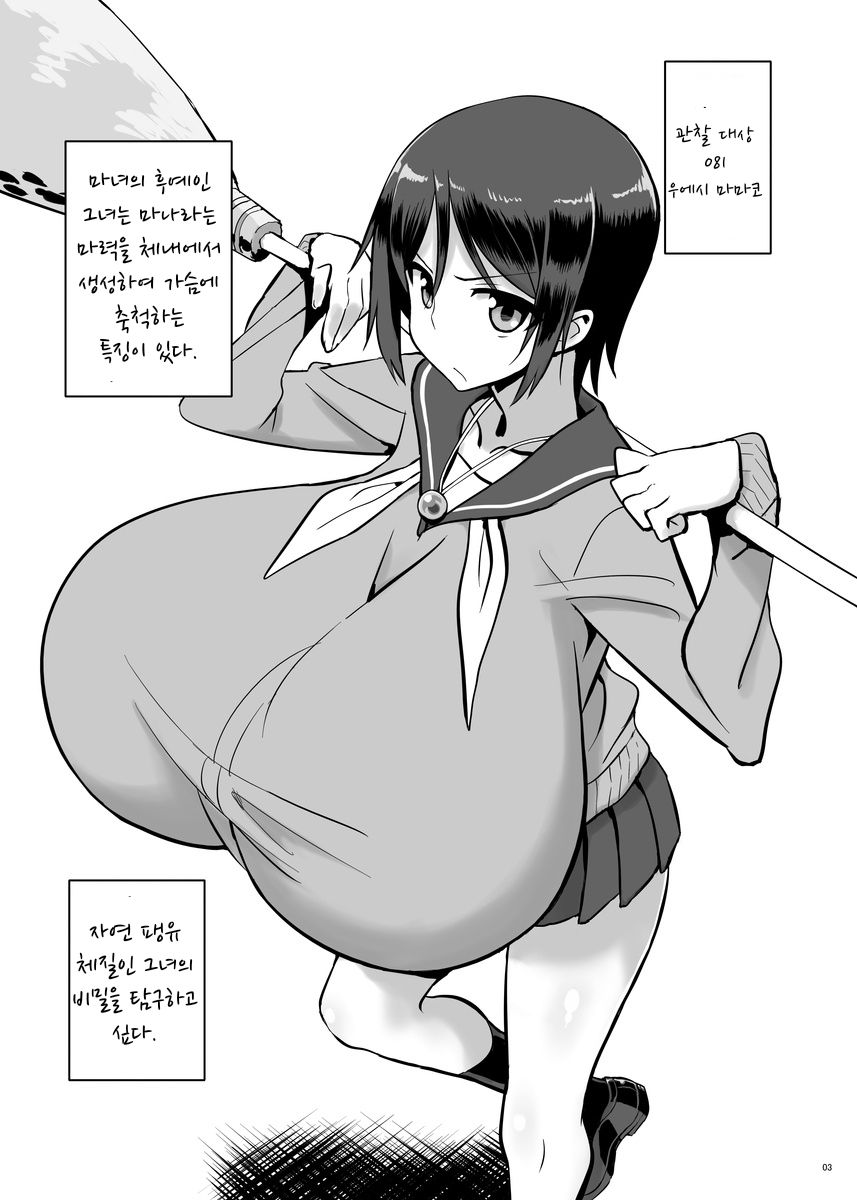 [Chounyuu Kenkyuushitsu (Ishioto)] Zemuriya Report | 제무리아 리포트 [Digital] imagen número 2