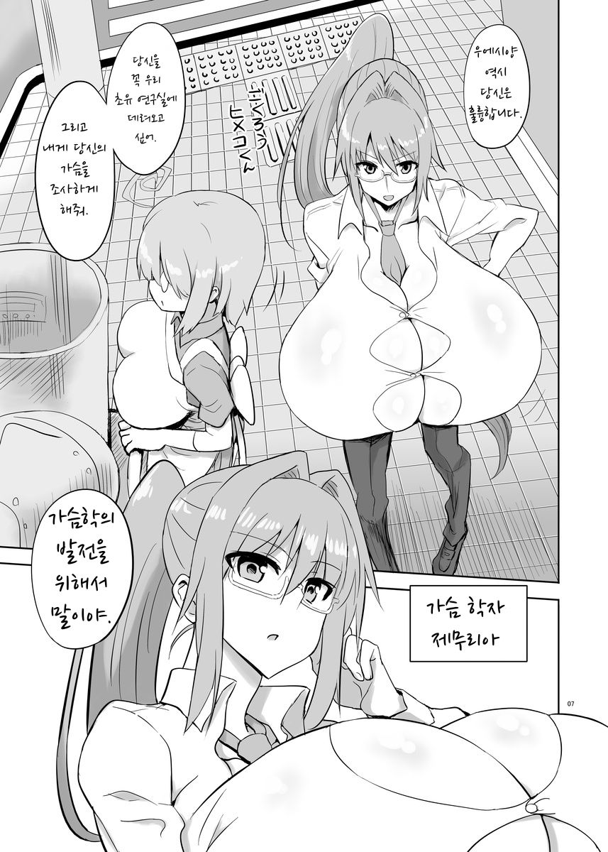 [Chounyuu Kenkyuushitsu (Ishioto)] Zemuriya Report | 제무리아 리포트 [Digital] imagen número 6