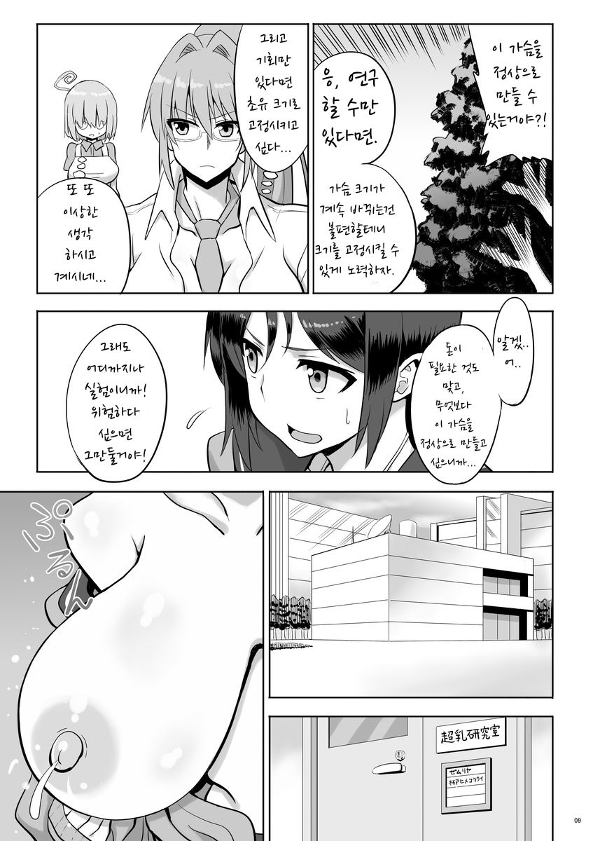 [Chounyuu Kenkyuushitsu (Ishioto)] Zemuriya Report | 제무리아 리포트 [Digital] imagen número 8