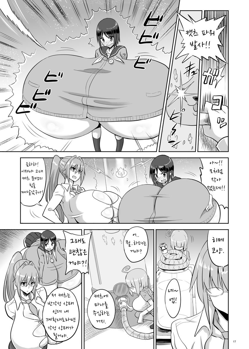 [Chounyuu Kenkyuushitsu (Ishioto)] Zemuriya Report | 제무리아 리포트 [Digital] imagen número 16