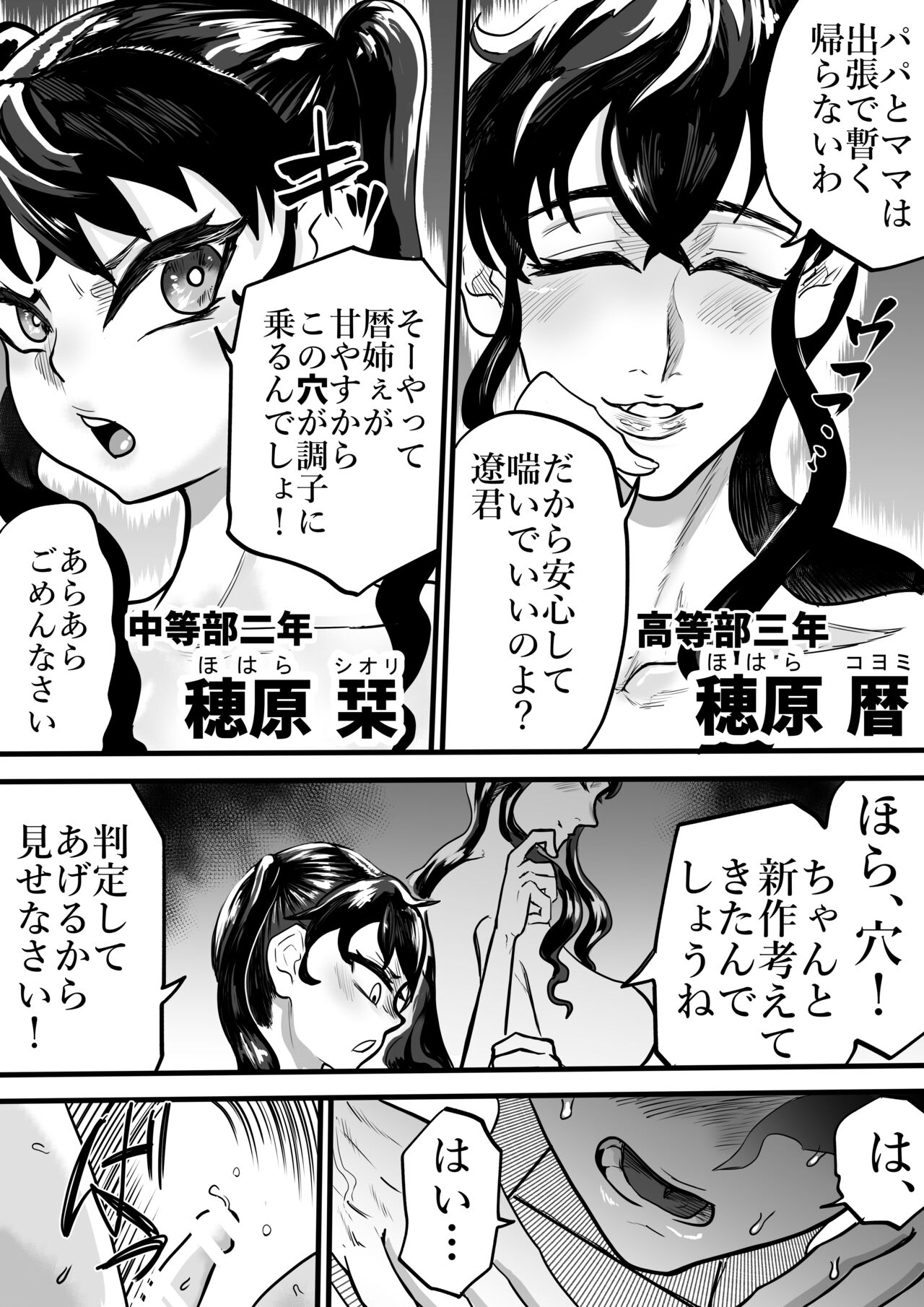 [円卓清掃員] ふたりはふたなり 僕と姉と妹の秘密の関係 [DL版] 이미지 번호 5