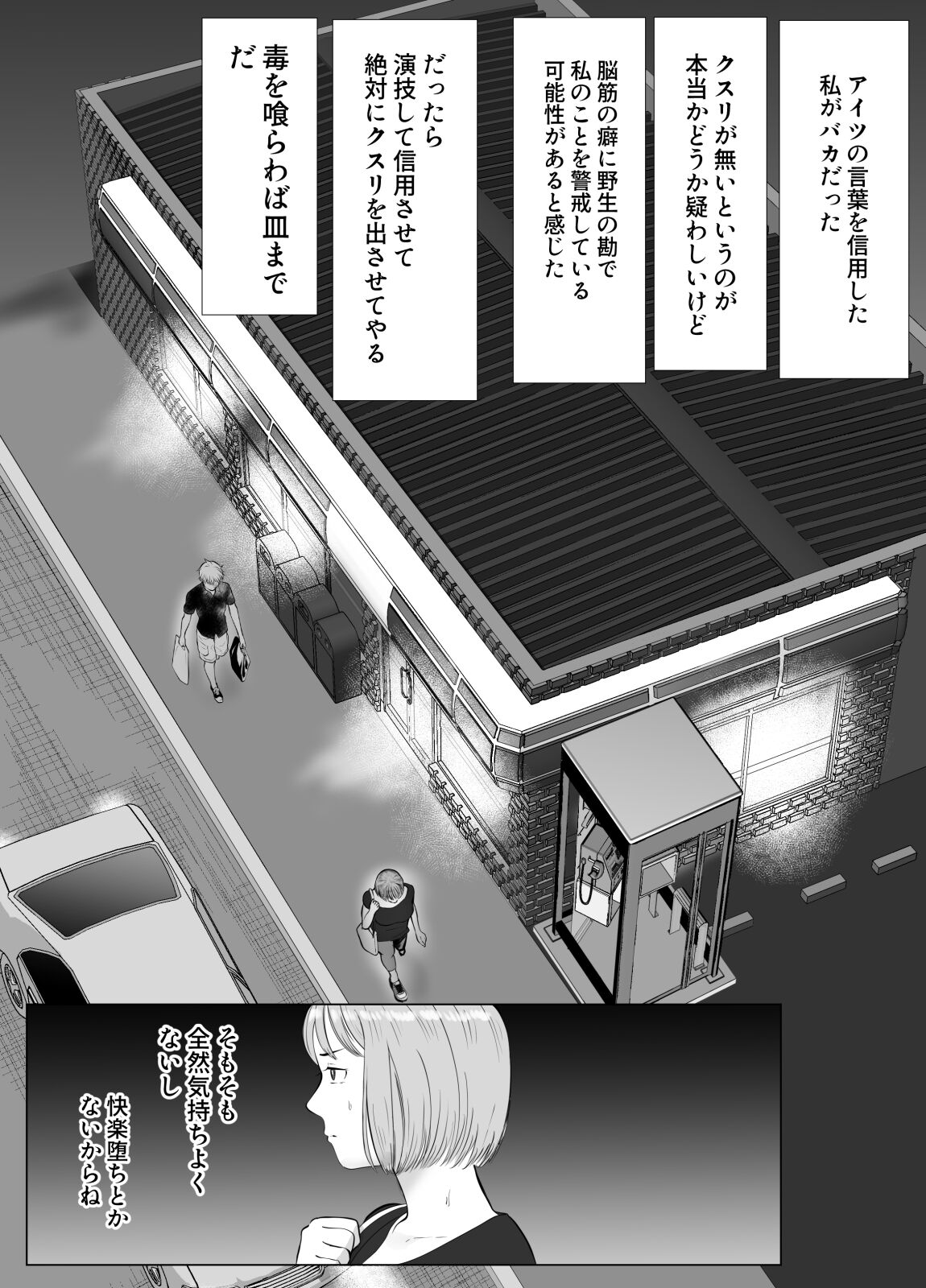 [Bad End Dreamer] Hameotoshi 3 ~Kosakusuru Omoi, Masobuta Chokyo~ image number 43