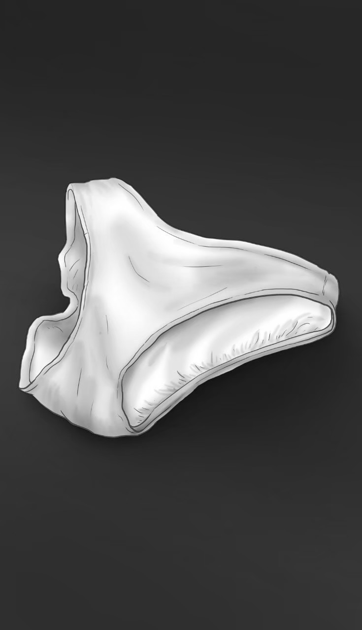 [philia] Pheromone trap 2 [Thai ภาษาไทย] 图片编号 33