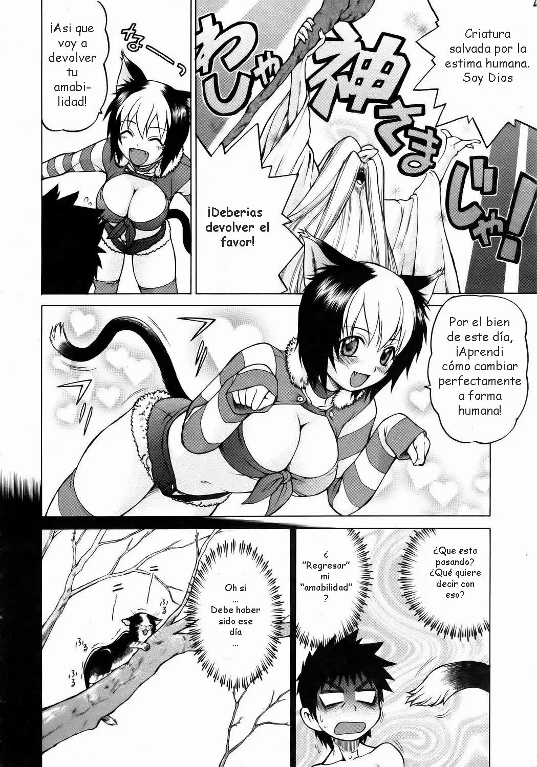 [Kouda Tomohiro] Miracle Neko Punch! (COMIC AUN 2006-05) [Spanish] [ZonaZero] 이미지 번호 10