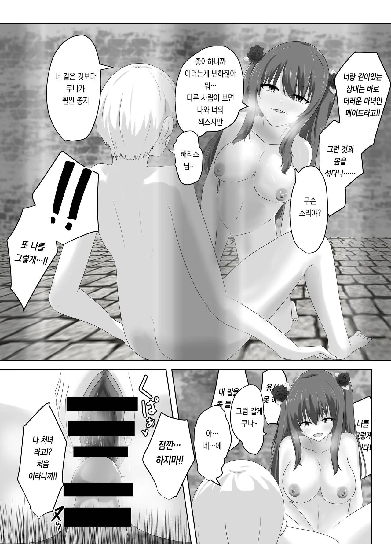 [C Hange (hangesho)] Kono, Mitame dake wa Ii Akuyaku Reijou no Karada o Irekawatte Nottorimasu. | 외모만큼은 좋은 악역 아가씨의 육체를 빼앗아 보았습니다. [Korean] 图片编号 36