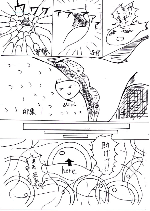 [kirica] Last Continue 图片编号 15